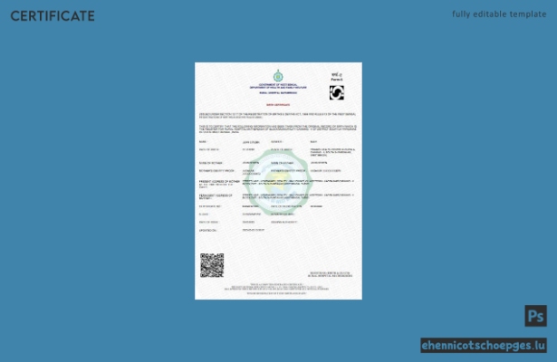 Beispiel einer Geburtsurkunde eines ländlichen Krankenhauses in Westbengalen, Indien (Vorschau)